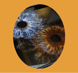 EYES Studio